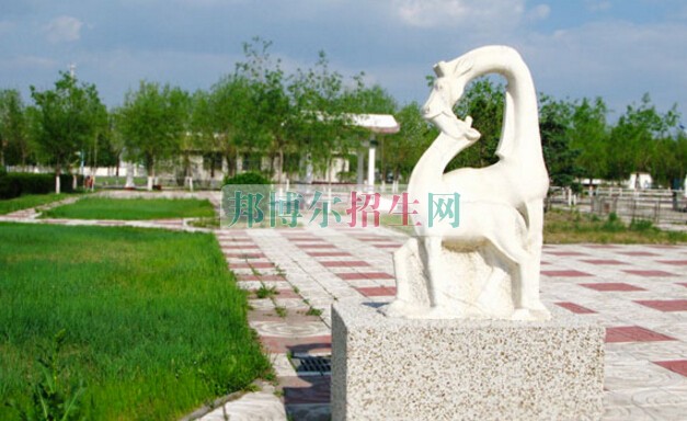 大慶醫(yī)學高等?？茖W校