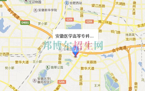 安徽醫(yī)學高等?？茖W校