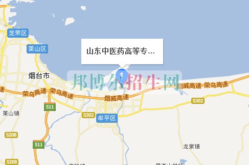 山東中醫(yī)藥高等??茖W校