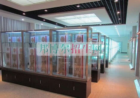 益陽(yáng)醫(yī)學(xué)高等??茖W(xué)校