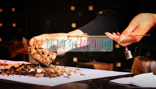 中醫(yī)學需要學習哪些知識