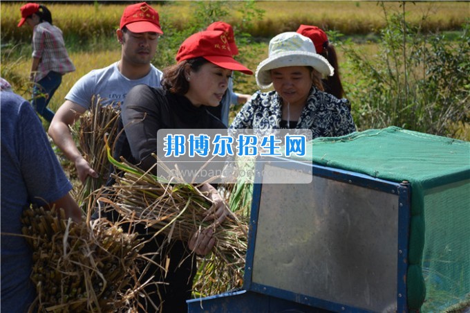 川北幼兒師范高等?？茖W(xué)校歲月積淀中的魅力女性