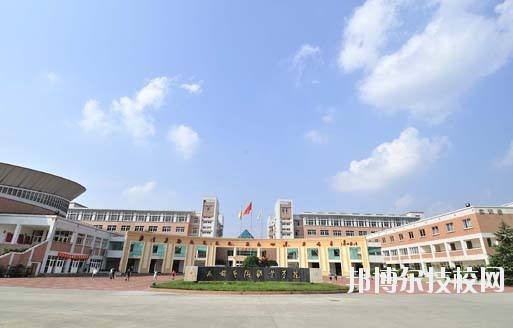 學(xué)院校園占地面積1000余畝，學(xué)院校本部地處成都南郊著名牧馬山風(fēng)景旅游區(qū)，校本部占地面積516畝，建筑面積12.05萬平方米，距市區(qū)30分鐘車程。新校區(qū)位于眉山市青神縣。校園風(fēng)光秀麗，各種生活設(shè)施齊備，建有游泳池、校園網(wǎng)、校園商業(yè)區(qū)和高標(biāo)準(zhǔn)橡膠運(yùn)動(dòng)場(chǎng)。學(xué)院在校學(xué)生近8000人。  學(xué)院面向文化創(chuàng)意產(chǎn)業(yè)和城市化建設(shè)，秉持“礪志尚美，躬行日新”的校訓(xùn)，為社會(huì)培養(yǎng)藝術(shù)類為主的高素質(zhì)人才上萬名，被譽(yù)為西部地區(qū)應(yīng)用型設(shè)計(jì)師的搖籃。青神校區(qū)占地規(guī)劃為800畝，計(jì)劃3年之內(nèi)全部建成，容納在校學(xué)生6000人。校園建設(shè)除了具有藝術(shù)特色的教室、實(shí)訓(xùn)室、辦公大樓、學(xué)生公寓外，還將建設(shè)高標(biāo)準(zhǔn)的體育運(yùn)動(dòng)場(chǎng)、體育館和現(xiàn)代化的演藝大廳等，除了“成藝”原有的設(shè)計(jì)、表演、建筑經(jīng)管專業(yè)外，新專業(yè)有國(guó)家非物質(zhì)文化遺產(chǎn)—青神竹編工藝，還將開設(shè)為當(dāng)?shù)厣鐣?huì)經(jīng)濟(jì)發(fā)展所需要的機(jī)械制造等專業(yè)。預(yù)計(jì)2016年9月正式投入使用。