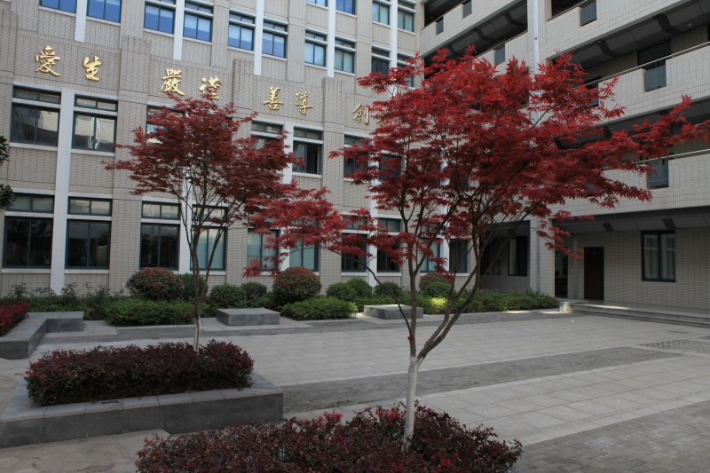 南京衛(wèi)生高等職業(yè)技術(shù)學(xué)校怎么樣、好不好