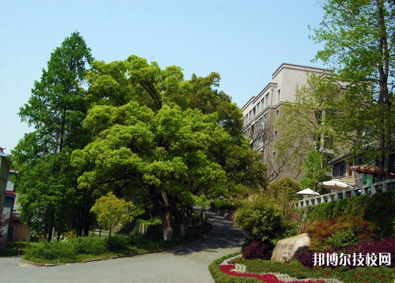 中國(guó)美術(shù)學(xué)院附屬中等美術(shù)學(xué)校2020年報(bào)名條件、招生要求、招生對(duì)象