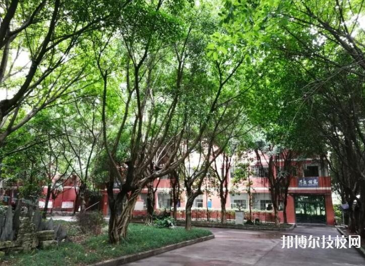 重慶舞蹈學校2020年報名條件、招生要求、招生對象