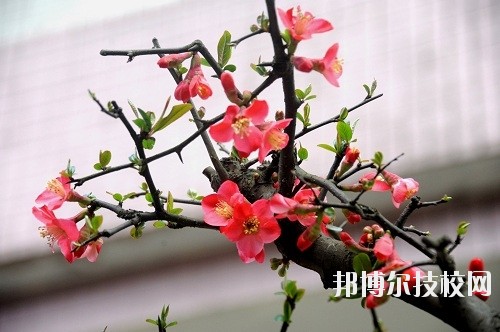 貴州廣播電影電視學(xué)校怎么樣、好不好