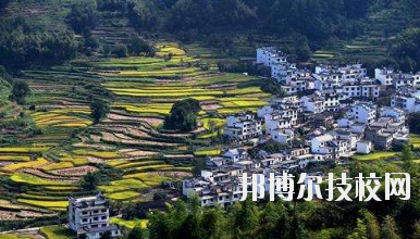 江西婺源茶葉學(xué)校2020年報(bào)名條件、招生要求、招生對象