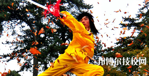 平?jīng)鲠轻嘉奈鋵W(xué)校2020年報(bào)名條件、招生要求、招生對(duì)象