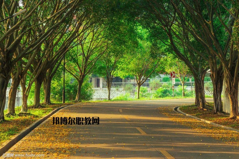 仙桃金園職業(yè)高級中學(xué)2020年報名條件、招生要求、招生對象
