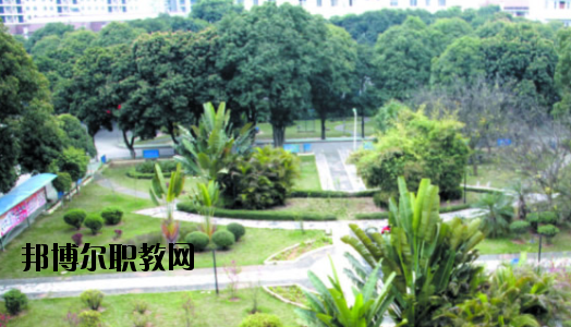 廣西百色農(nóng)業(yè)學(xué)校2020年報名條件、招生要求、招生對象 