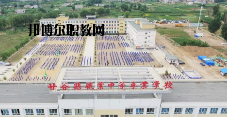 甘谷職業(yè)中等專(zhuān)業(yè)學(xué)校2020年報(bào)名條件、招生要求、招生對(duì)象