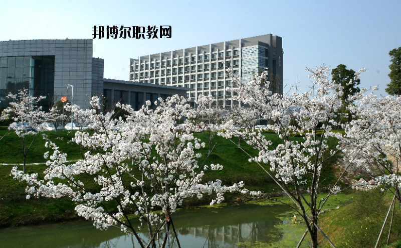 中國藥科大學(xué)2020年報(bào)名條件、招生要求、招生對(duì)象