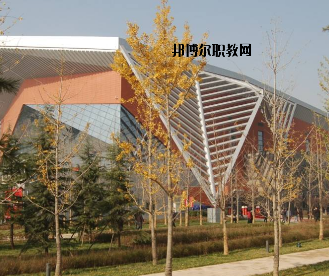 宜昌體育運(yùn)動(dòng)學(xué)校怎么樣、好不好