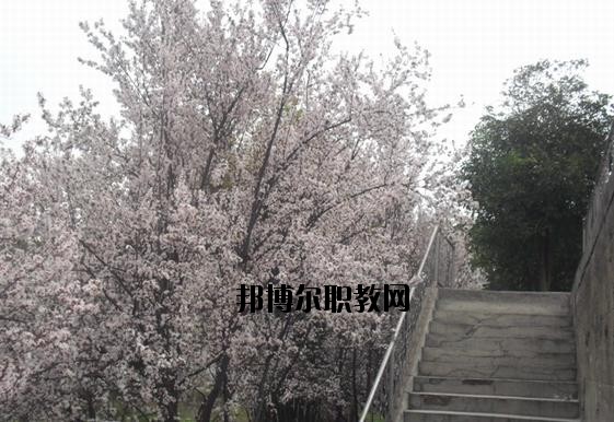 ?？德毥讨行膶W(xué)校網(wǎng)址網(wǎng)站