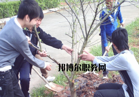 江西長(zhǎng)江理工專(zhuān)修學(xué)院2020年報(bào)名條件、招生要求、招生對(duì)象