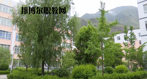 文縣職業(yè)技術(shù)學(xué)校2020年報(bào)名條件、招生要求、招生對(duì)象