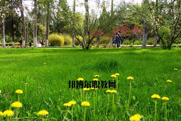 雙江縣職教中心2020年報(bào)名條件、招生要求、招生對(duì)象
