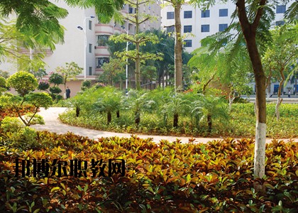 湛江技師學(xué)院怎么樣、好不好