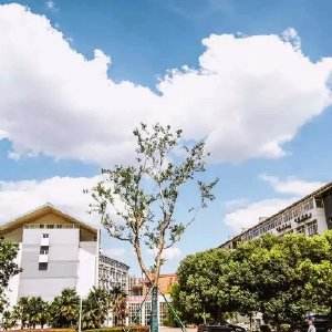 南京科技職業(yè)學(xué)院怎么樣、好不好
