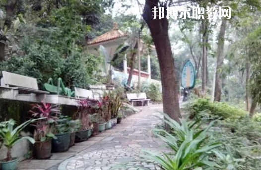廣州市穗華職業(yè)技術學校怎么樣、好不好
