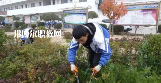 秦安縣古城農(nóng)業(yè)中學怎么樣、好不好