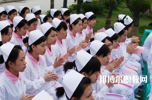 四川2020年哪個(gè)大專(zhuān)學(xué)校的衛(wèi)校好
