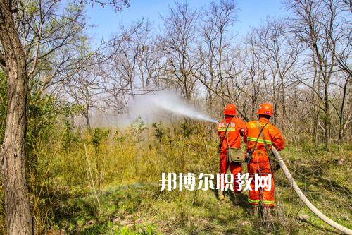四川2021年哪些學校有消防技術工程學校