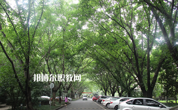重慶2021年中專學?？梢钥即髮W嗎
