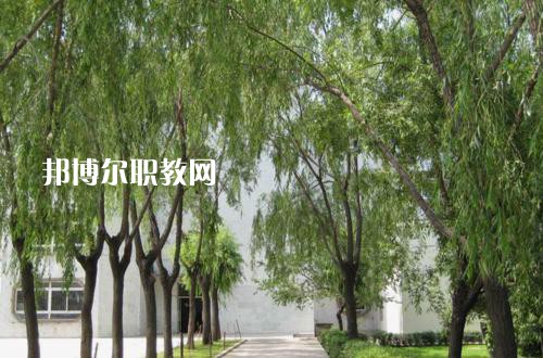 新疆喀什地區(qū)衛(wèi)生學(xué)校2021年報(bào)名條件、招生要求、招生對象