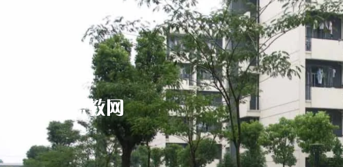 安徽工商行政管理學(xué)校怎么樣、好不好