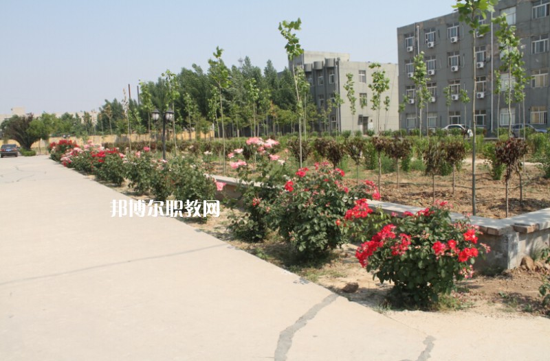 武強(qiáng)綜合職業(yè)技術(shù)教育中心2022年報(bào)名條件、招生要求、招生對(duì)象
