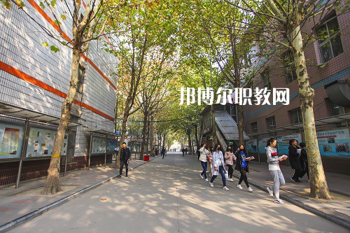 石家莊明澤職業(yè)中專學校網站網址