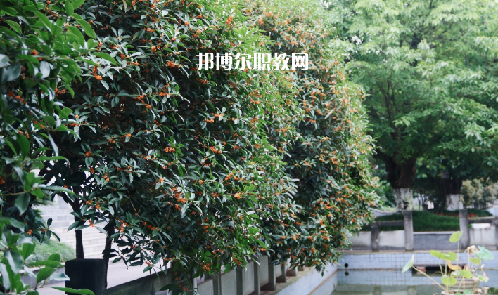 德陽(yáng)通用電子科技學(xué)校怎么樣、好不好