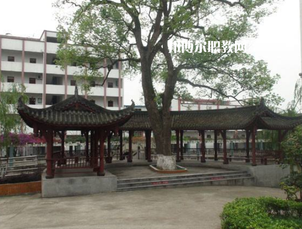 四川合江先市職業(yè)高級中學(xué)校怎么樣、好不好