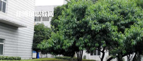 成都市中山職業(yè)技術(shù)學(xué)校2022年報名條件、招生要求、招生對象