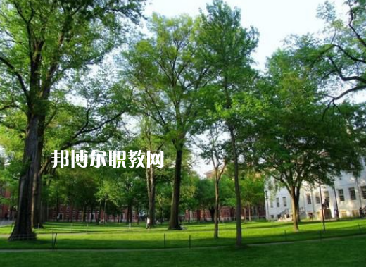 承德騰飛中等專(zhuān)業(yè)學(xué)校2022年有哪些專(zhuān)業(yè)