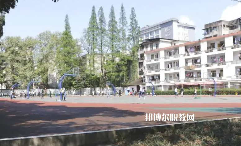 四川省檔案學(xué)校2022年報(bào)名條件、招生要求、招生對(duì)象