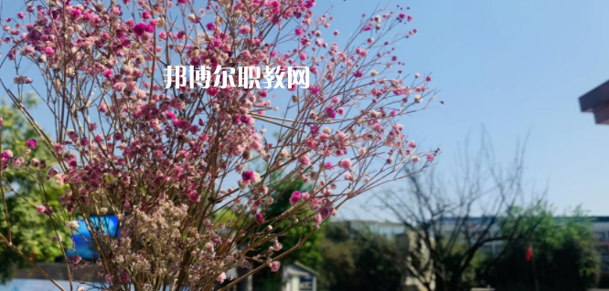 成都華大醫(yī)藥衛(wèi)生學(xué)校怎么樣、好不好