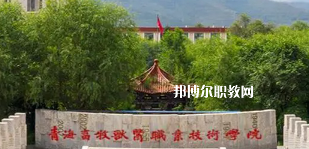 青海高職?？拼髮W(xué)2023年排名(文科)
