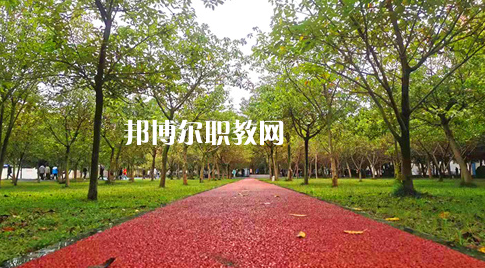 2023年四川國盛技工學校醫(yī)護救援部學費、收費多少