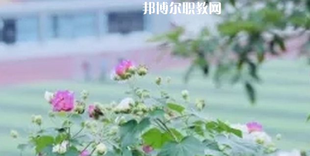 眉山技師學(xué)院地址在哪里，哪個(gè)地區(qū)，哪個(gè)城市?