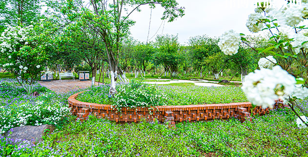 重慶望江技工學(xué)校地址在哪里，哪個(gè)地區(qū)，哪個(gè)城市?