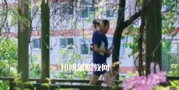 2023金華市成功學(xué)校招生計(jì)劃 招生人數(shù)是多少(附要求、條件、對(duì)象)