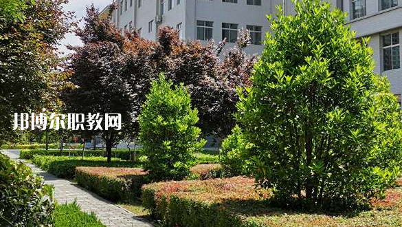 2023渭南技師學(xué)院招生計(jì)劃 招生人數(shù)是多少(附要求、條件、對(duì)象)