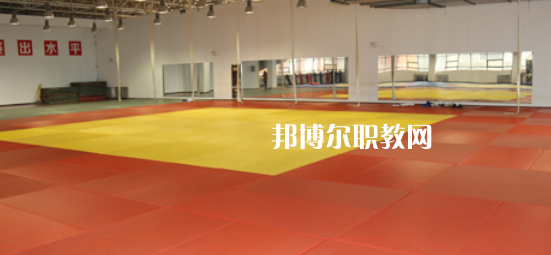 2023渭南市青少年體育運動學校招生計劃 招生人數是多少(附要求、條件、對象)