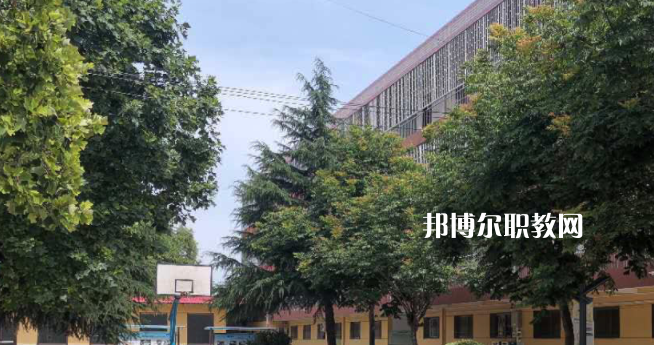 2023楊凌師范學校招生計劃 招生人數(shù)是多少(附要求、條件、對象)