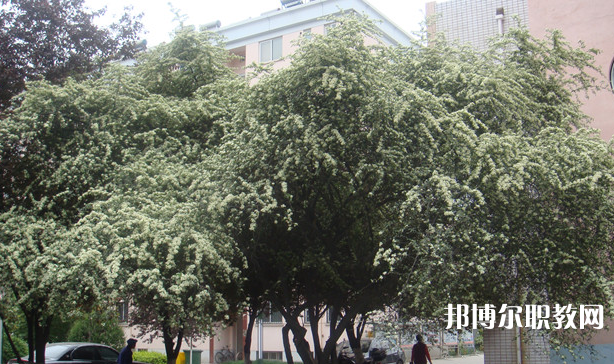寶雞技師學(xué)院地址，乘車路線