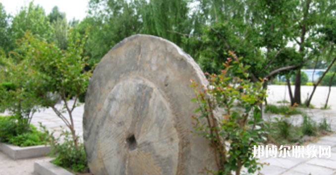 野風(fēng)美術(shù)中學(xué)怎么樣、好不好