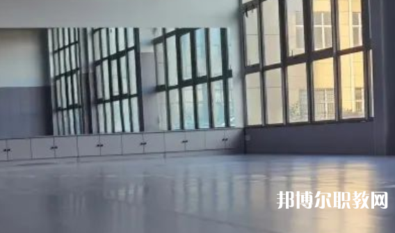 2023秦皇島市藝新舞蹈學校招生計劃 招生人數(shù)是多少(附要求、條件、對象)